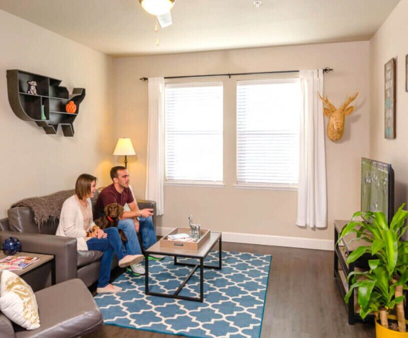 Creating a Comfortable Apartment for the New School Year